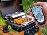 Rosenstein & Söhne Thermometre Alimentaire avec Ecran Mobile