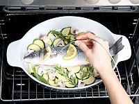 ; Gusseisen Grillplatten 